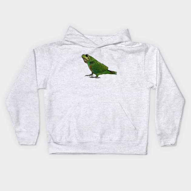 Amphibird Kids Hoodie by Jun1oR